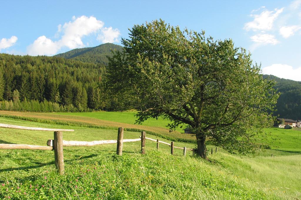 Spisserhof Chiusa Dış mekan fotoğraf