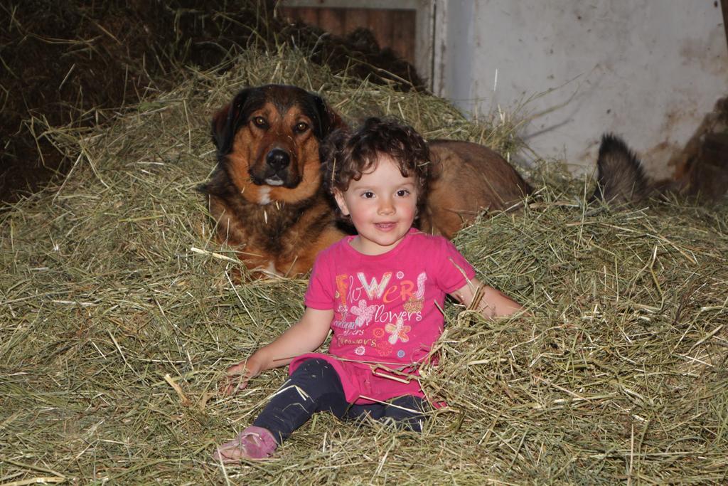 Spisserhof Chiusa Dış mekan fotoğraf