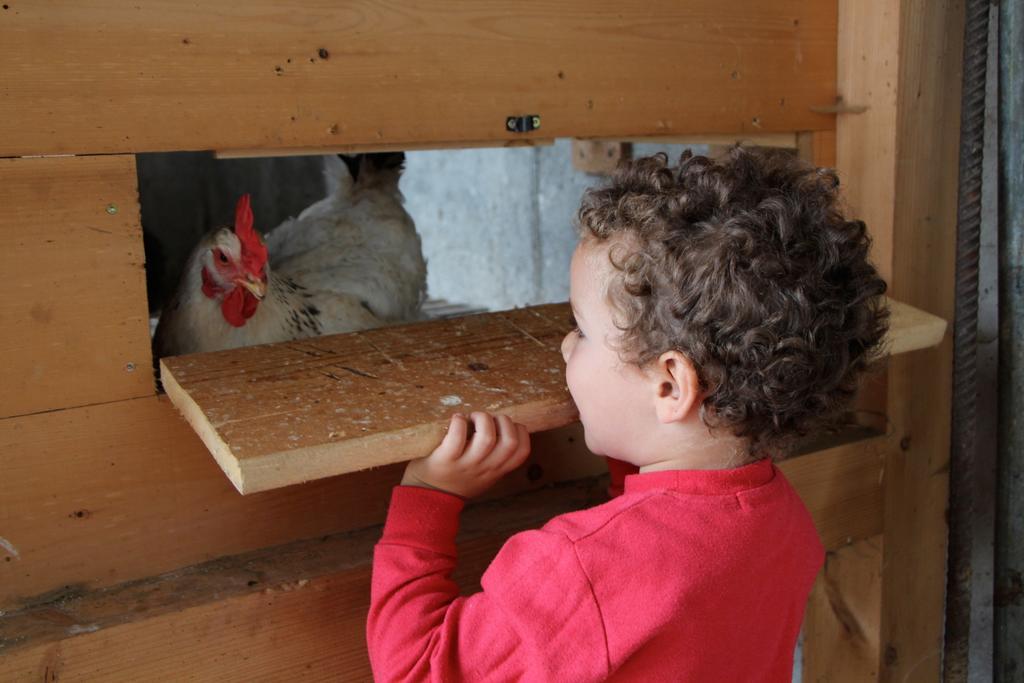 Spisserhof Chiusa Dış mekan fotoğraf