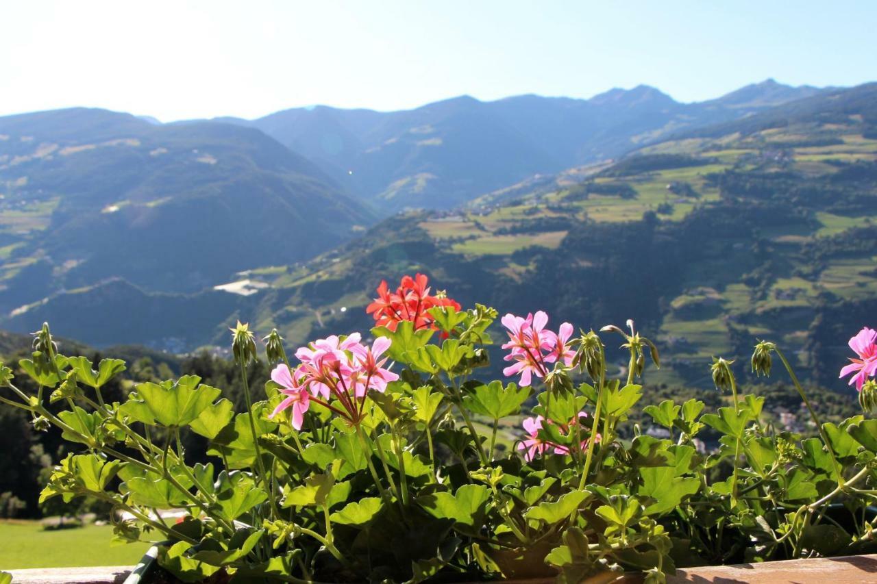Spisserhof Chiusa Dış mekan fotoğraf